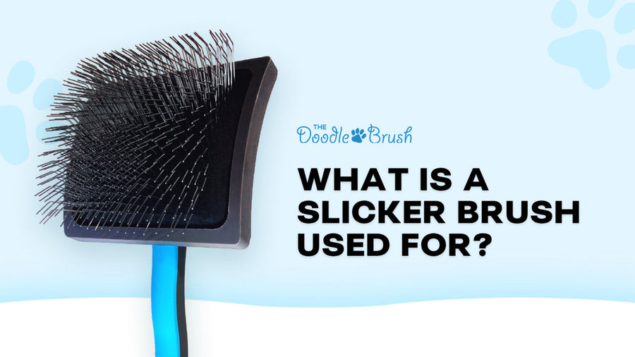 What Is a Slicker Brush Used For? (And When It's the Wrong Tool)