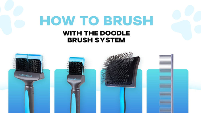 How to Brush Your Doodle with The Doodle Brush System (Step by Step)