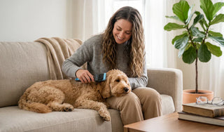 How to Make Brushing a Positive Experience for your Doodle