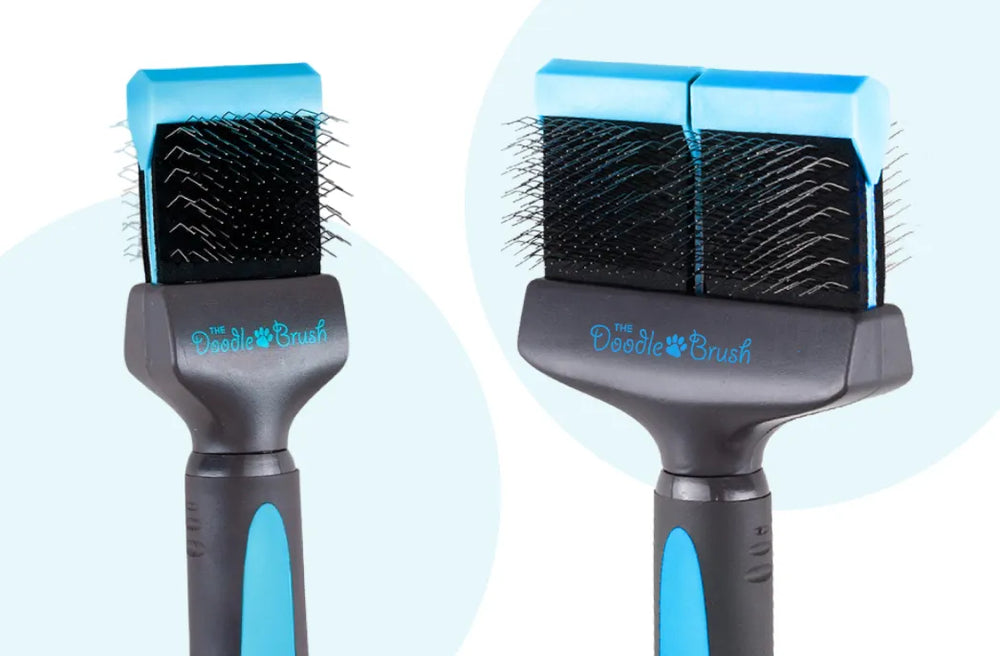 Single Head vs Double Head Slicker Brush for Doodles: What's the Difference?