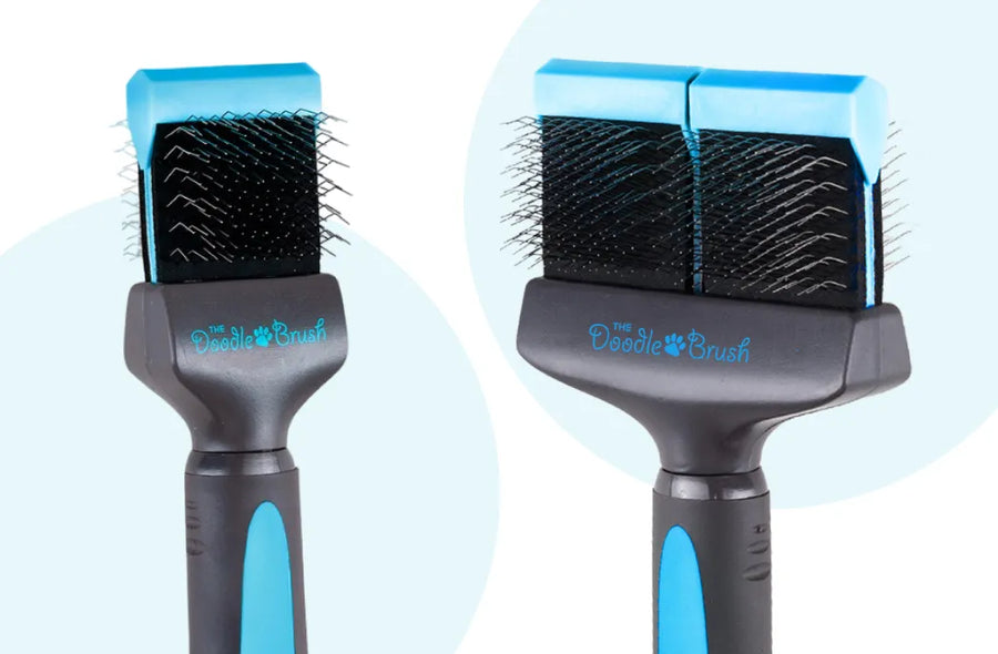 Single Head vs Double Head Slicker Brush for Doodles: Key Differences