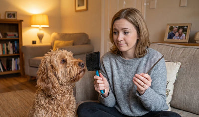 Slicker Brush vs. Finishing Comb: Which One Do You Actually Need?