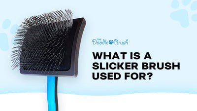 What Is a Slicker Brush Used For? (And When It's the Wrong Tool)