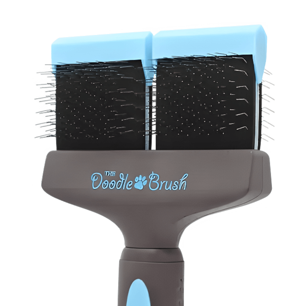 The Doodle Brush