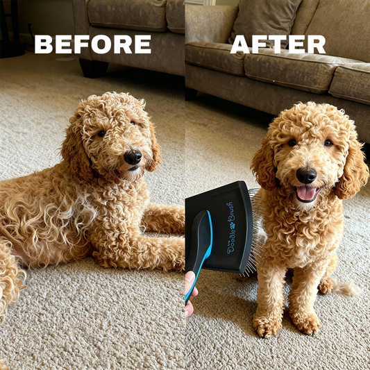 Extra Long Pin Slicker