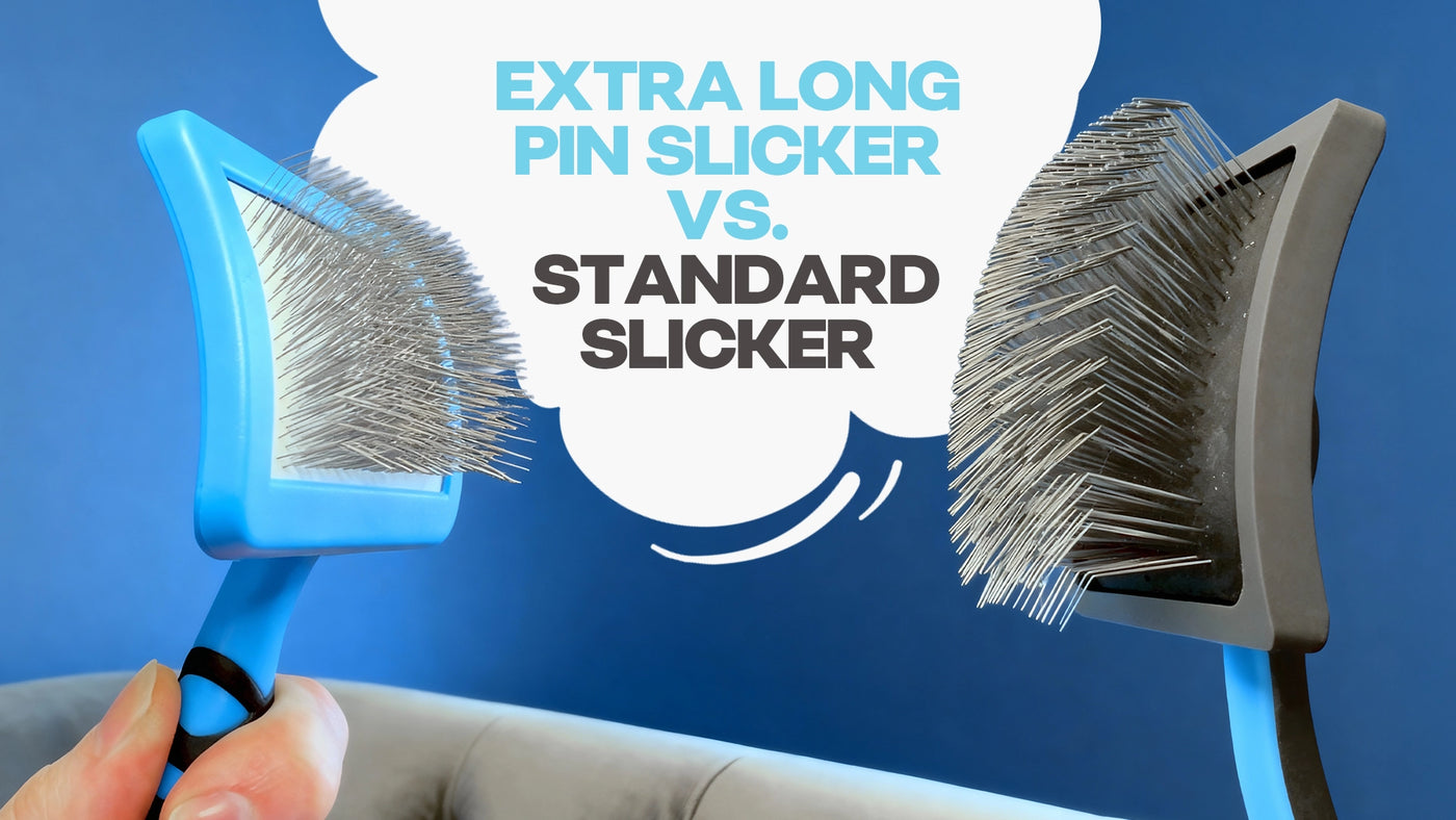 Comparison of an extra long pin slicker brush and a standard slicker brush with text on a blue background.