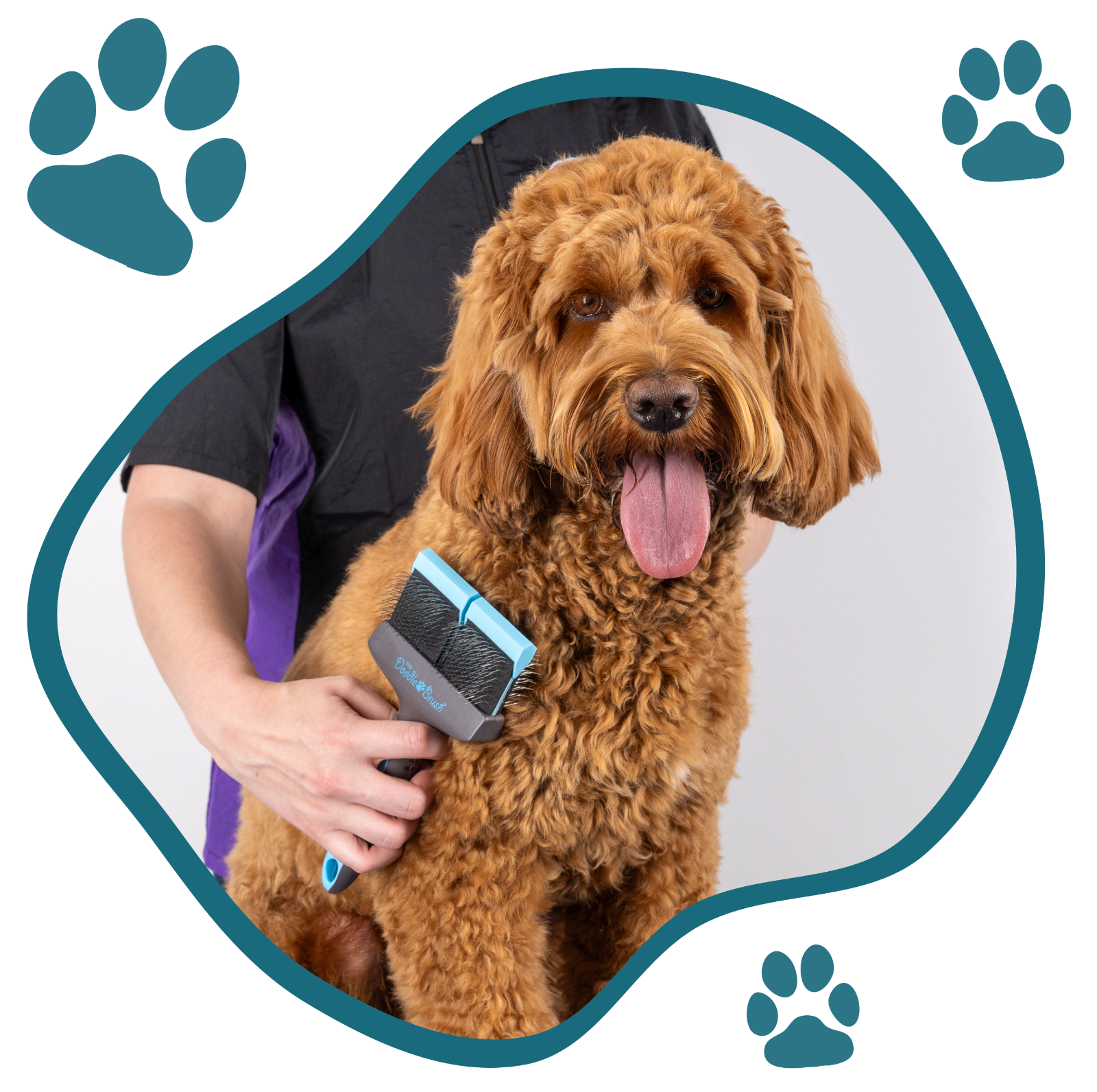 Best Brush Dog Brushes For Goldendoodles Love Doodles Brushes For