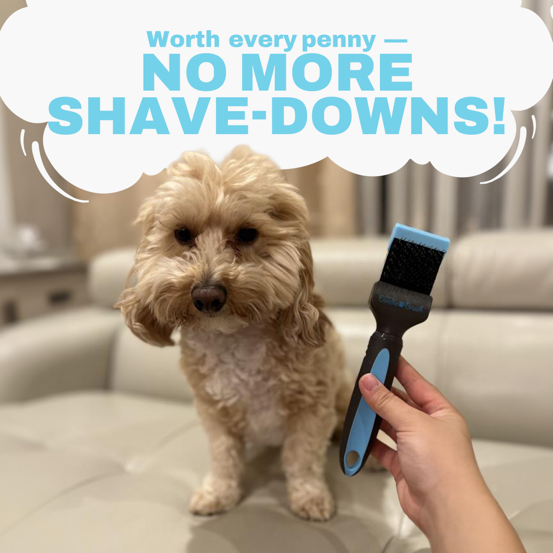 Single Head Flexible Slicker