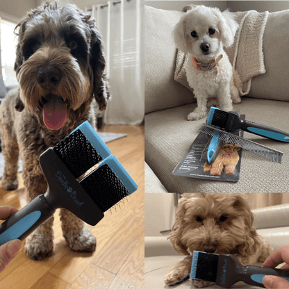 Dog Brush for Labradoodles Goldendoodles Cockapoos Bernedoodles The Doodle Brush