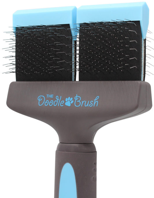 The Doodle Brush: Double Head
