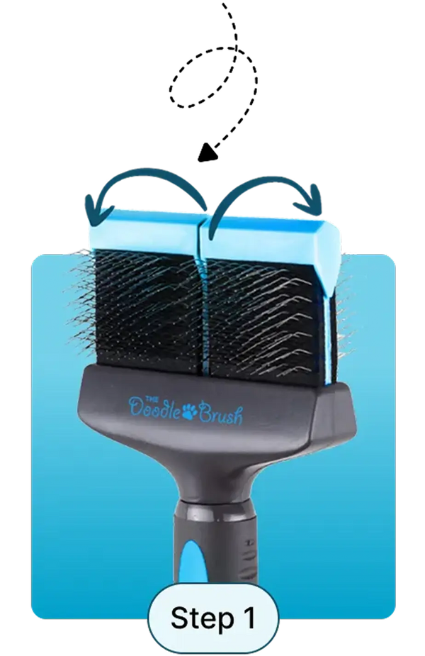 Doodle Brush System The Doodle Brush doodle-brush-system-the-doodle-brush