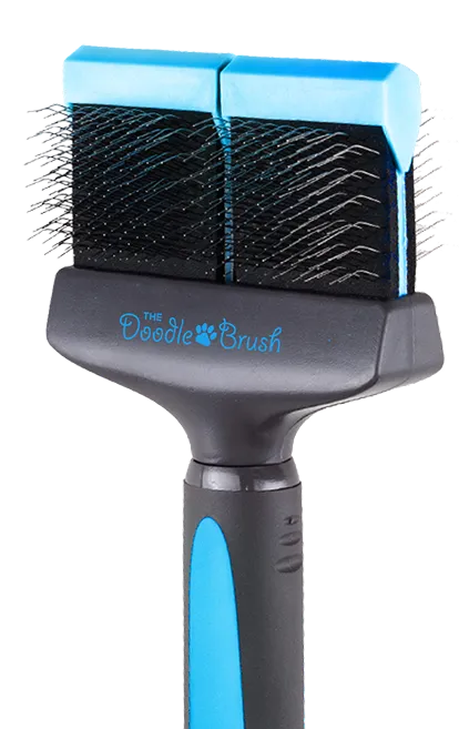 Pet grooming brush with black bristles and blue accents on a white background