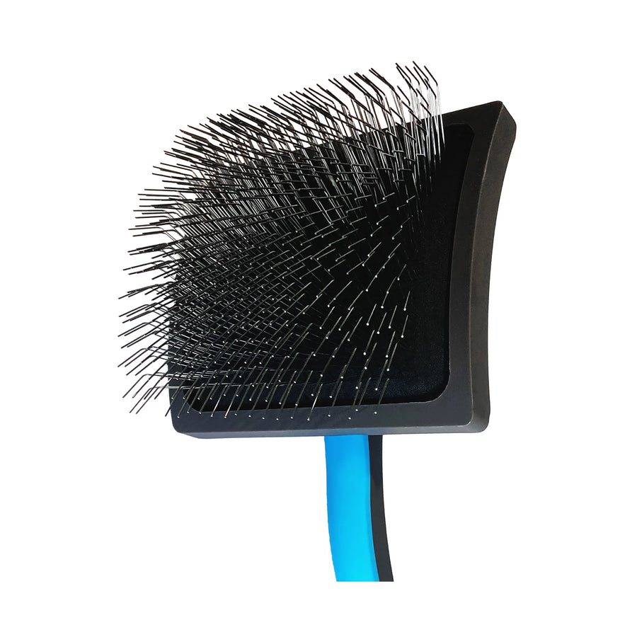 Black bristle brush with blue handle on a white background