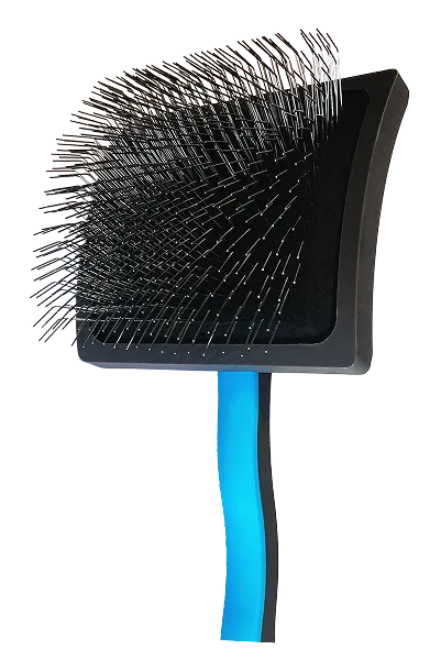 Black brush with bristles and a blue handle on a white background